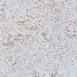 Настенная пробка в пластинах Ibercork Порто Невада, 1 м.кв.